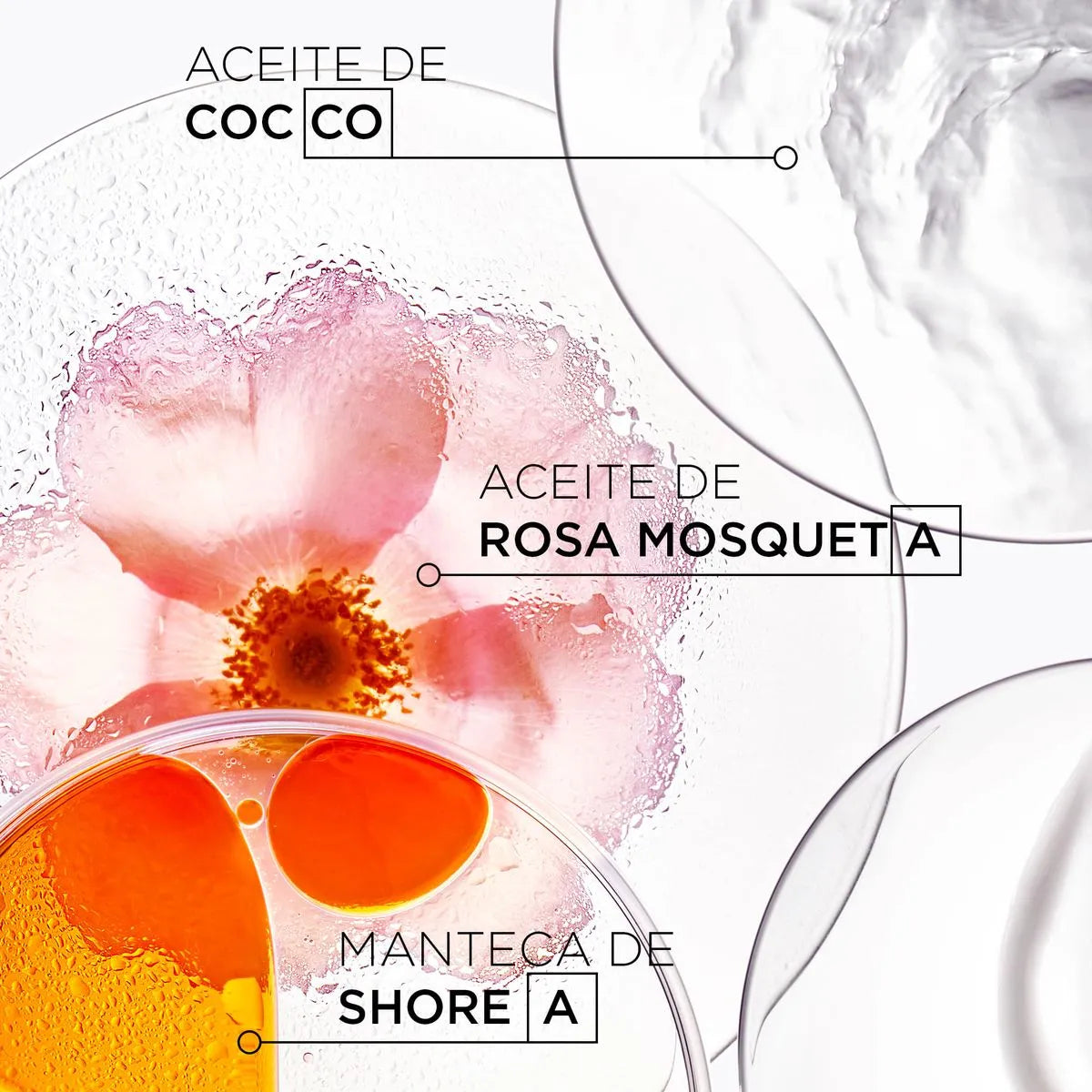 Kérastase Discipline Bain Oléo-Relax Shampoo Nutritivo Antifrizz para Cabello Seco, Grueso y Rebelde
