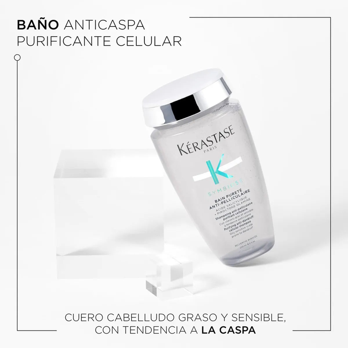 Kérastase Symbiose Bain Pureté Anti-Pelliculaire Shampoo Purificante Anticaspa para Cuero Cabelludo Graso