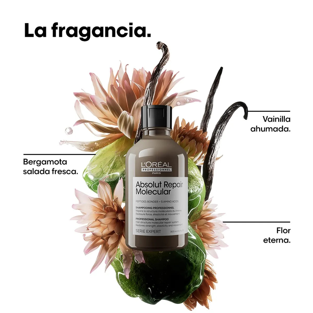 L'Oréal Professionnel Absolut Repair Molecular Shampoo Reparador 500 ml Shampoo Profesional para Cabello Dañado