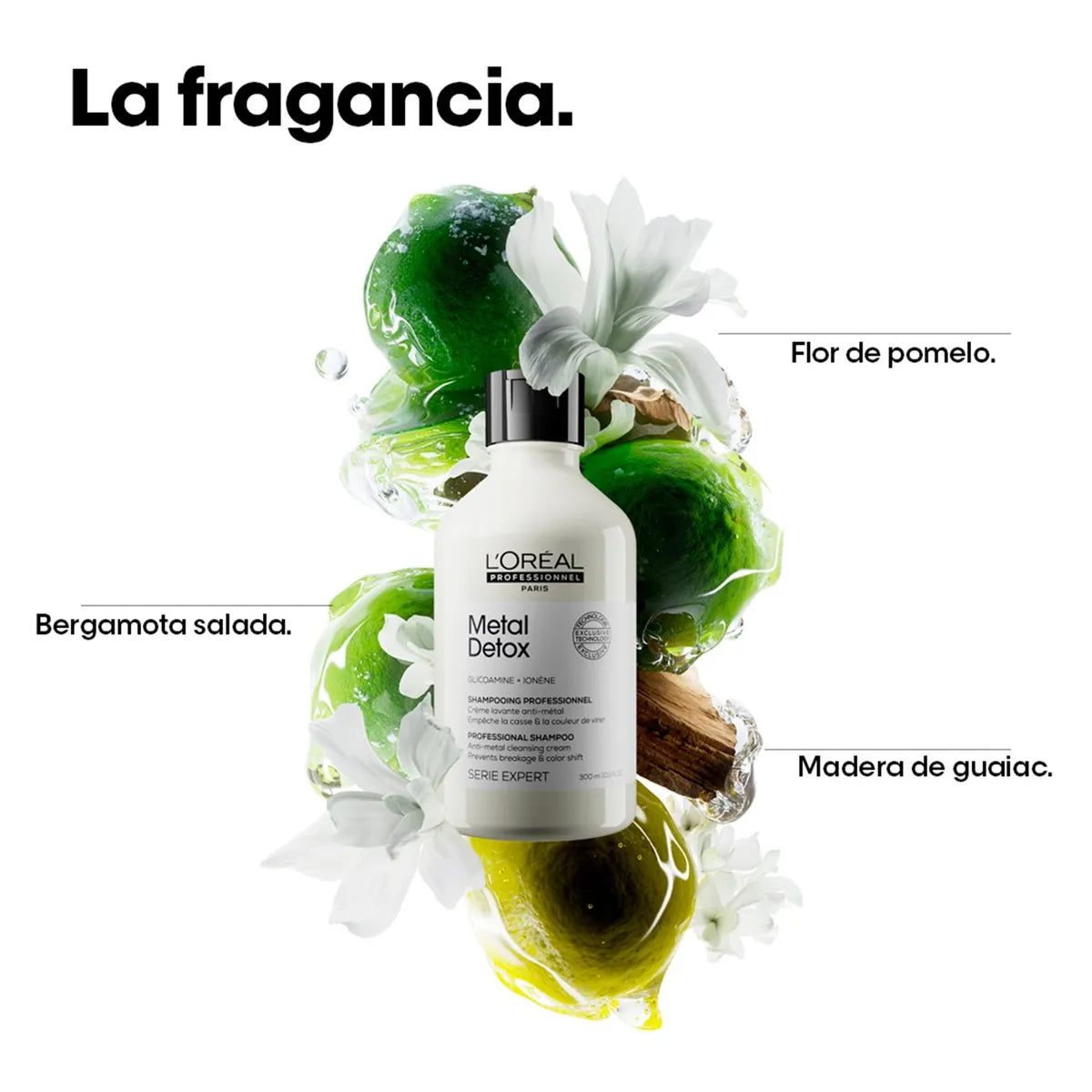 L'Oréal Professionnel Metal Detox Shampoo 300 ml Shampoo Protector para Cabello Teñido y Decolrado