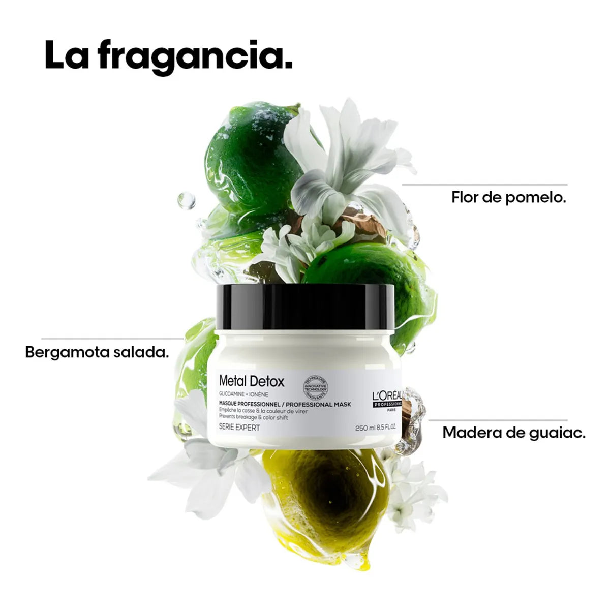 L'Oréal Professionnel Metal Detox Mascarilla 250 ml Mascarilla Protectora para Cabello Teñido y Decolorado